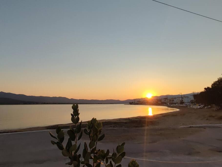 Bahia- Apartment By The Sea Elafonissos Ngoại thất bức ảnh